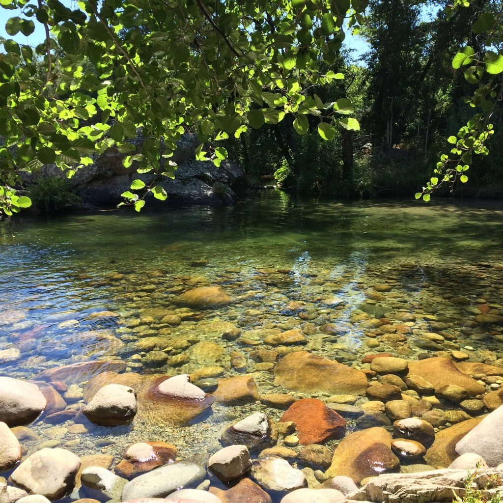 Rivière verdoyante composée de cailloux. Des arbres avec des feuilles vertes font de l’ombre au cours d’eau.